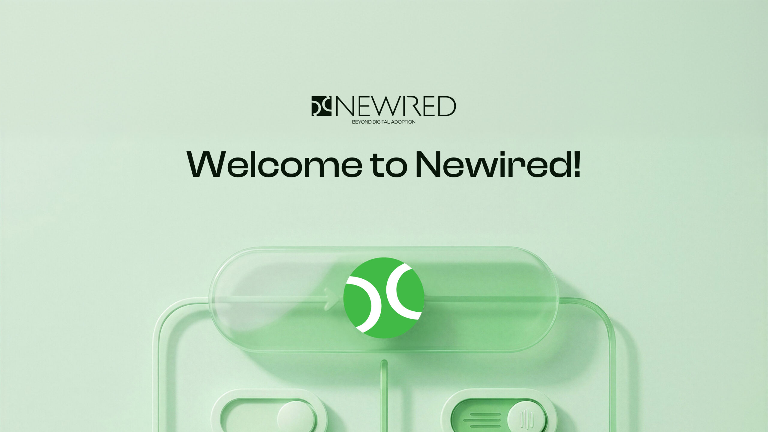 Newired Beyond Digital Adoption